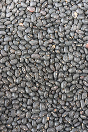 Background images from black bean with a very interesting profile .の写真素材