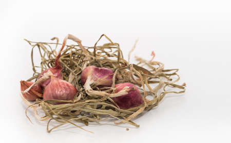 Shallots tied together on a white background