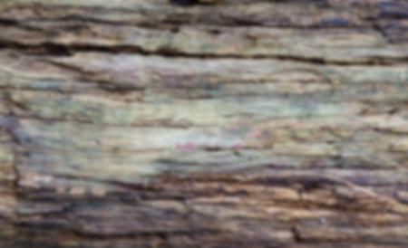 A blurred image of a wooden wall The wooden wall itself has a rather rough and aged surface.の写真素材