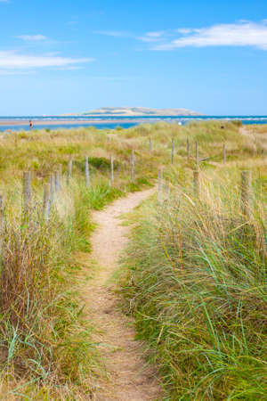 Narrow footpath near the beach with an island at the backgroundの写真素材