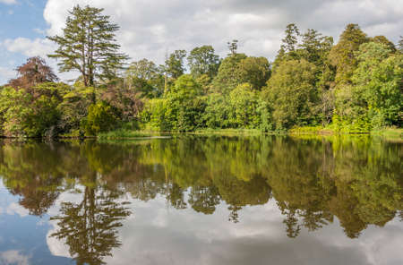 Beautiful river landscape with green forest reflectionの写真素材