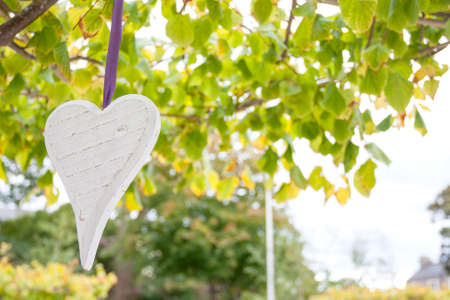 Wooden white heart hanging in a treeの写真素材