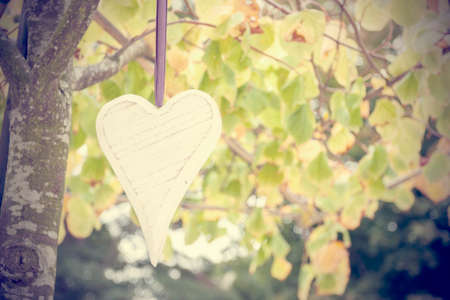 Wooden white heart hanging in a treeの写真素材