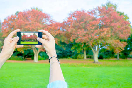 Young adult woman taking a picture in a autumn landscapeの写真素材