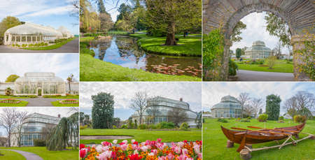 Dublin, Ireland - Apr 19:  Collage of The National Botanic Gardens in Dublin, Ireland on April 19, 2014のeditorial素材