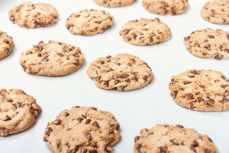 Homemade chocolate chip cookie just baked on a tray
