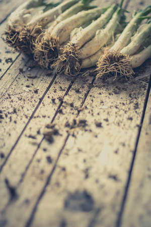 Close up of fresh leek on wooden tableの写真素材