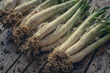 Close up of fresh leek on wooden tableの写真素材