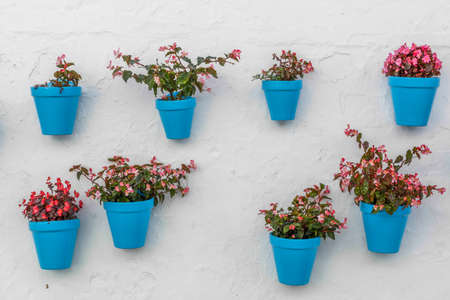 Blue flowerpot with flowers on white wall in Mijasの写真素材