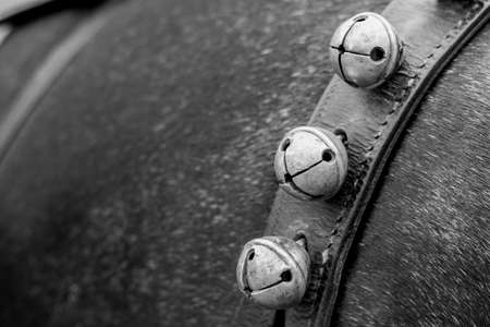 Closeup of three rattles on a horse beltの写真素材