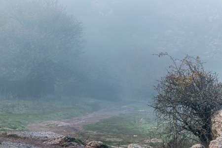 Shot of trail in mountain valley in fog. Torcal in Antequera, Malaga