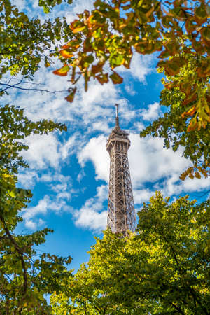 From below shot of Eiffel tower in green summer trees on background of blue clear sky