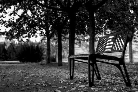 Metal bench in autumn park covered with foliage in rainy day