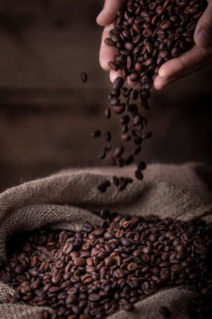 Crop close-up view of hands with coffee beans pouring to sack