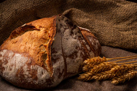 Big brown baked loaf of bread on canvas material with wheat on dark background