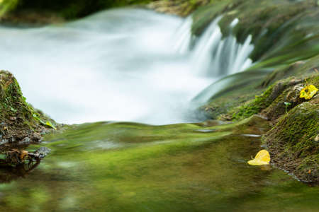 Close-up of small yellow leaf floating in clear water in nature