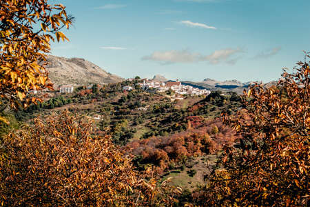 View of remote town on highlands in mountains with bright autumnal vegetation in sunlight. Cartajima in Malaga, Spainの写真素材