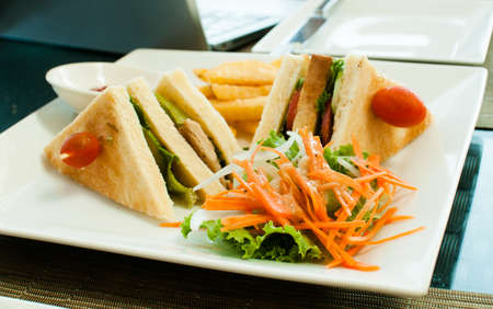 Two sandwich with  garnishの写真素材