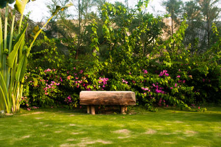 Wooden bench in tropical gardenの写真素材
