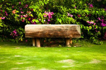 Little wooden bench near rose rosebushの写真素材