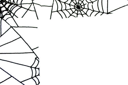 Minimalism background with spiderweb traceryand copy space isolatedの写真素材