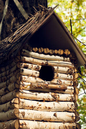 beautiful birdhouse from birch boards close-up view autumnの写真素材