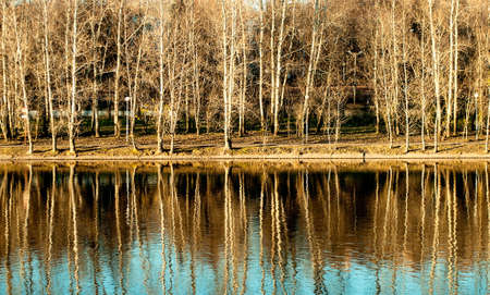 Pond in a city park autumn landscape  in sunny dayの写真素材