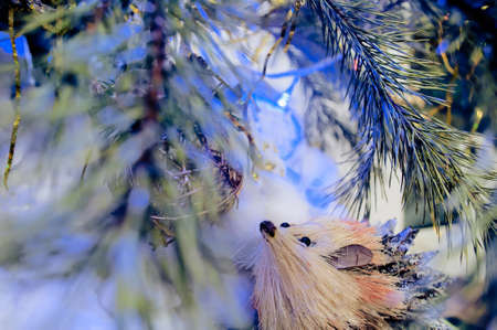 Winter fairytale photo with pine, snow and toy hedgehog under cristmas treeの写真素材