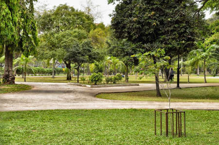 City park with luxuriant greenery with tree seedlings in Colombo Sri Lanka