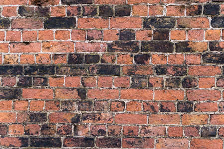 Old Brick Wall
