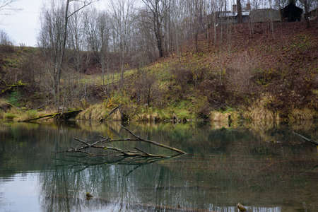 a lush tree has fallen into the groundwater where a reflection of the shore can be seen in autumn