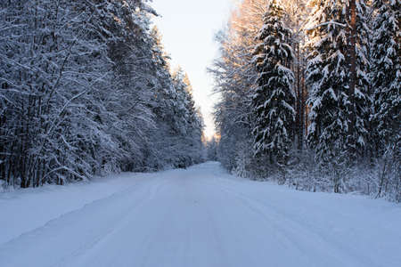 a beautiful white snowy winter road with a little sunlit trees on a nice dayの写真素材
