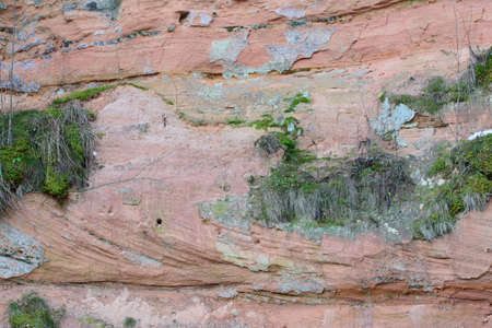 a beautiful mountain rock where birds have made holes for nesting in winter