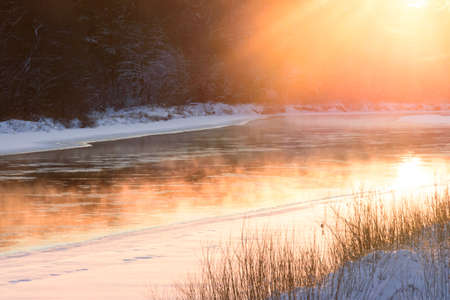 a beautiful sunset between the snowy tree branches in the evening