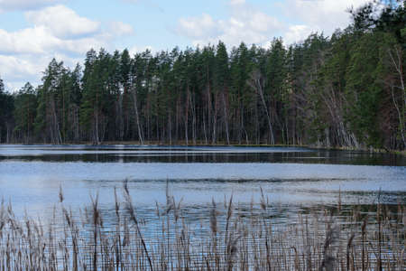 beautiful nature park with a lake and a cloudy cloudy day in the spring