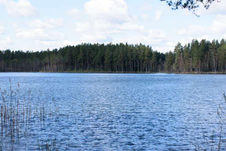 beautiful nature park with a lake and a cloudy cloudy day in the spring