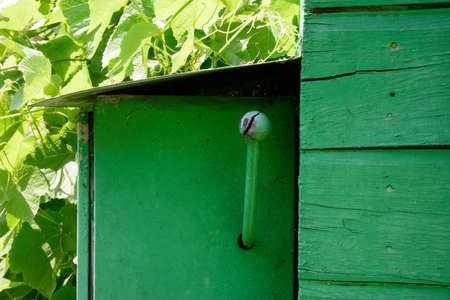 the handle of the electricity box on the wall of the garden shed in summerの写真素材