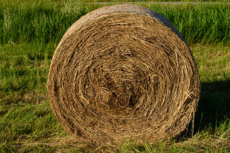 beautiful hay roll on a sunny summer evening, green grass