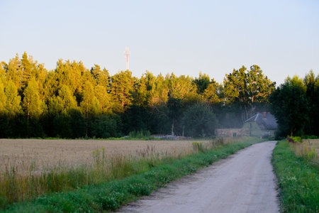 linked view in an outdoor park where a yellow sunset over the treetops can be seen in the distance where a house can be seen in the distanceの写真素材