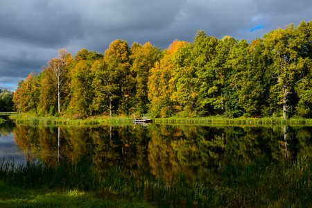 a beautiful view of the lake in autumn with the reflection of yellow-green trees and slow water in the absence of windの写真素材