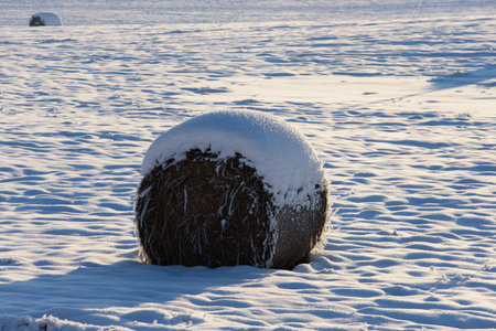 a snowy roll of hay in the middle of a field on a sunny winter dayの写真素材