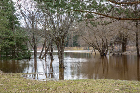 a flooded river where trees and a playhouse in the spring can be seen in the waterの写真素材