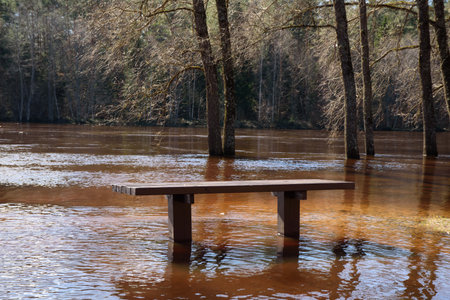 a flooded river with trees, where a table can be seen in the water on a sunny spring dayの写真素材