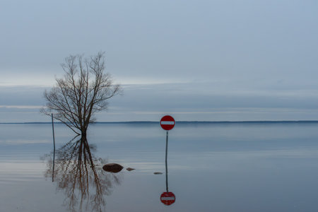 A flooded landscape with a tree, a "no entry" road sign, and calm water reflecting the overcast sky, creating a serene and surreal scene.の写真素材