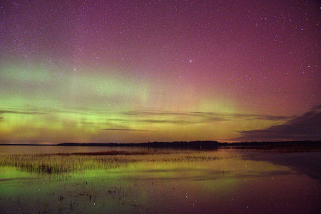 Vibrant northern lights dance across a starry night sky, reflecting on a calm lake with grassy reeds in the foreground.の写真素材