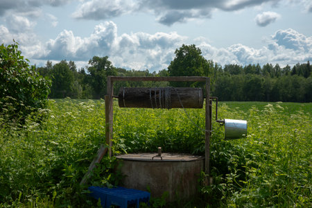 Rustic water well with wooden drum and metal bucket in a lush green field, backed by forest and...