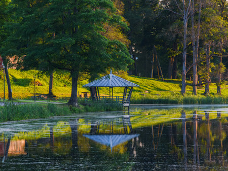 Golden hour light over a tranquil lakeside park: gazebo by calm water, tree-lined gravel path, benches and lush green grass.の写真素材