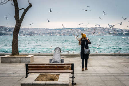 Istanbul, Turkey - January 28, 2016: Turkish girl from the back is photographing seagulls in Besiktas, Istanbulのeditorial素材