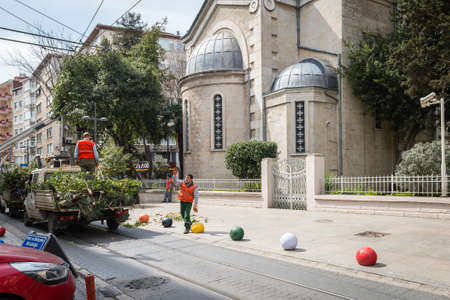 Istanbul, Turkey - March 22, 2016: Turkish workers are cutting old trees in the Kadikoy, Istanbul, Turkeyのeditorial素材