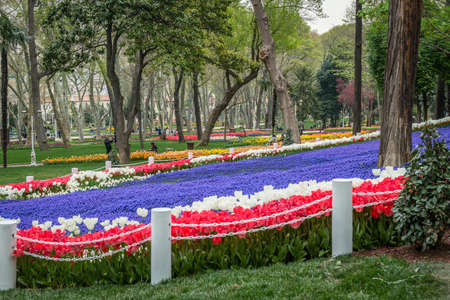 Istanbul, Turkey - April 08, 2016: Locals and tourists are enjoying the spring time in gulhane park. It is the oldest public park in istanbulのeditorial素材